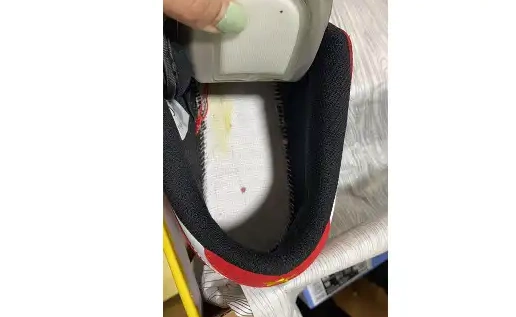 Low years 309242-307 25th Nike SB Dunk 0613